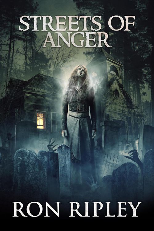 Produktbild: Streets of Anger (Tormented Souls Series, #5)