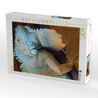 Produktbild: CALVENDO Puzzle Gr&uuml;ner Leguan | 1000 Teile Lege-Gr&ouml;&szlig;e 64x48cm Foto-Puzzle f&uuml;r gl&uuml;ckliche Stunden