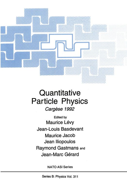 Produktbild: Quantitative Particle Physics