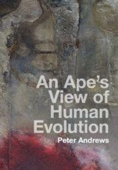 Produktbild: An Ape's View of Human Evolution