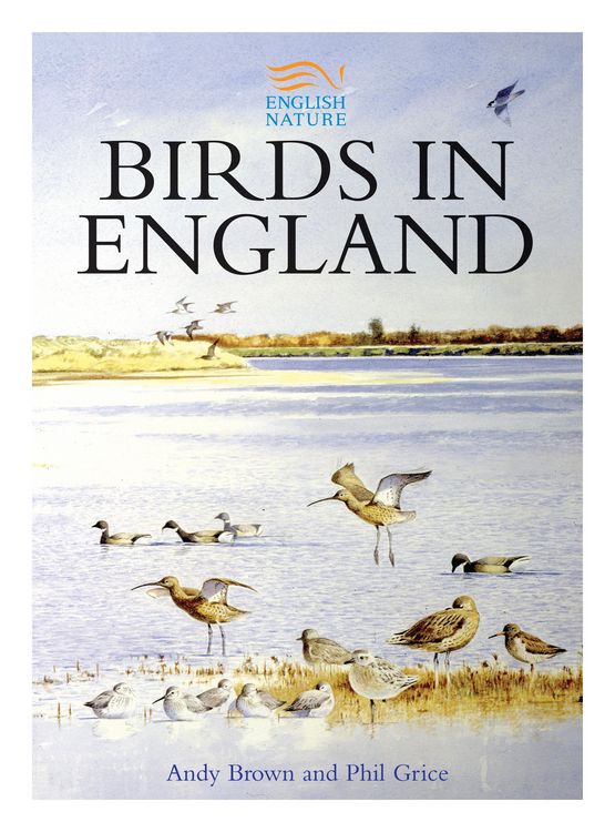 Produktbild: Birds in England