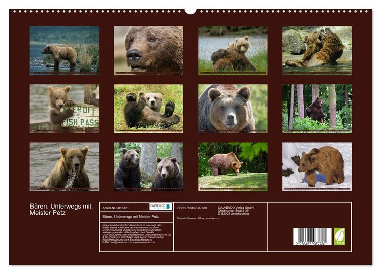 Produktbild: B&auml;ren. Unterwegs mit Meister Petz (hochwertiger Premium Wandkalender 2026 DIN A2 quer), Kunstdruck in Hochglanz