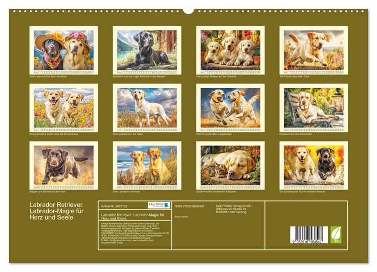 Produktbild: Labrador Retriever. Labrador-Magie f&uuml;r Herz und Seele (hochwertiger Premium Wandkalender 2026 DIN A2 quer), Kunstdruck in Hochglanz