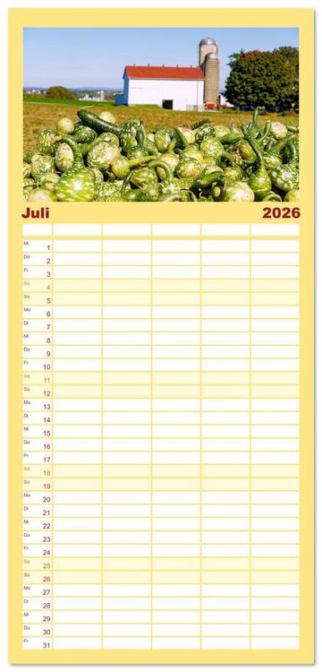 Produktbild: Familienplaner 2026 - Pennsylvania. Die Wiege der USA zwischen Tradition und Moderne mit 5 Spalten (Wandkalender, 21 x 45 cm) CALVENDO