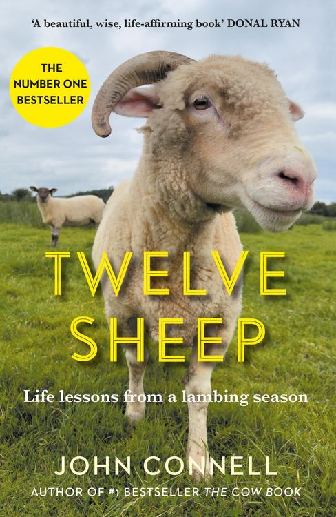 Produktbild: Connell, J: Twelve Sheep