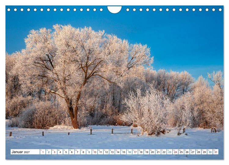 Produktbild: L&uuml;neburger Heide &ndash; Im Wandel der Jahreszeiten (Wandkalender 2027 DIN A4 quer), CALVENDO Monatskalender