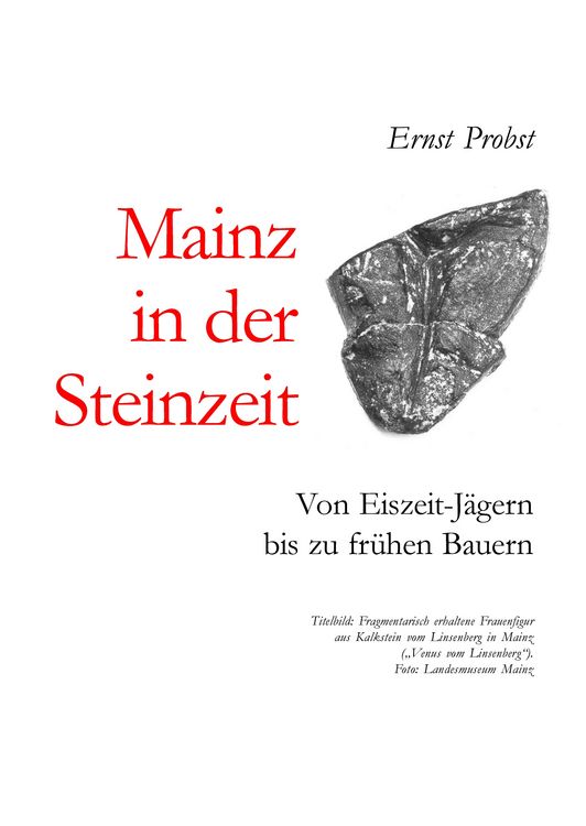 Produktbild: Mainz in der Steinzeit