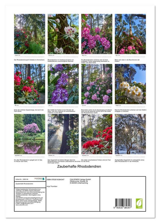 Produktbild: Zauberhafte Rhododendren (hochwertiger Premium Wandkalender 2026 DIN A2 hoch), Kunstdruck in Hochglanz