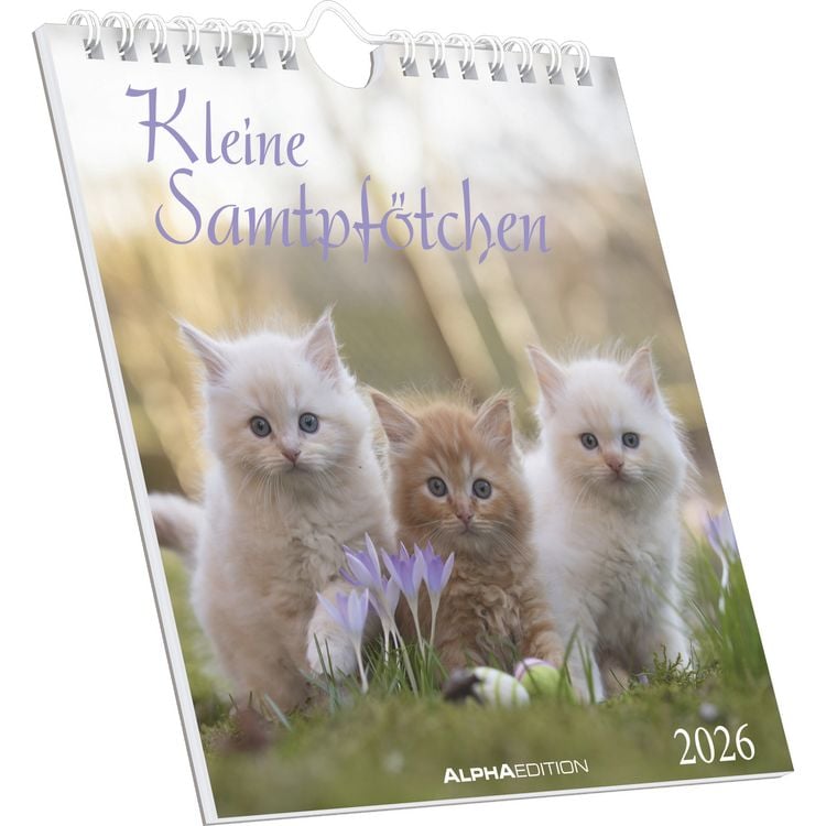Bild vom Artikel Kleine Samtpfötchen 2026 - Postkartenkalender 16x17 cm - Katzen - zum Aufstellen oder Aufhängen - Monatskalendarium - Gadget - Mitbringsel - Alpha Edi vom Autor Alpha Edition