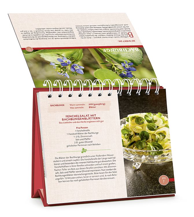 Produktbild: Die Wildpflanzen-Apotheke - Kalender