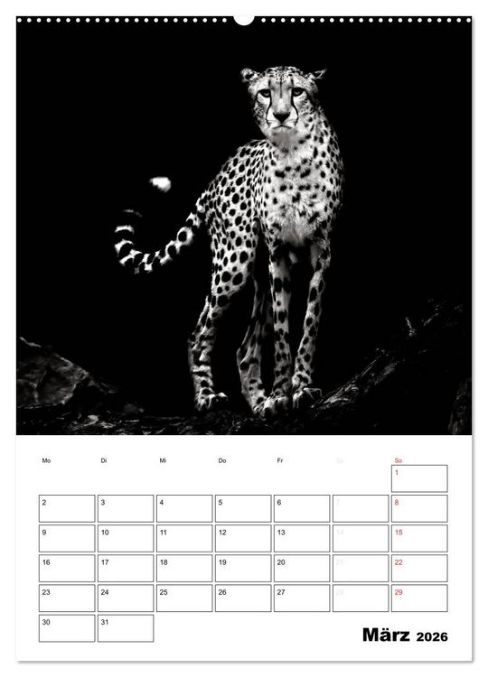 Produktbild: Charakterk&ouml;pfe aus der Welt der Tiere (hochwertiger Premium Wandkalender 2026 DIN A2 hoch), Kunstdruck in Hochglanz