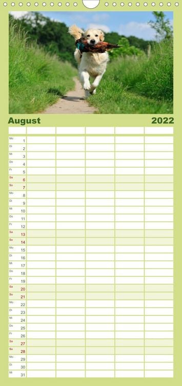 Produktbild: Familienplaner Golden Retriever (Wandkalender 2022 , 21 cm x 45 cm, hoch)