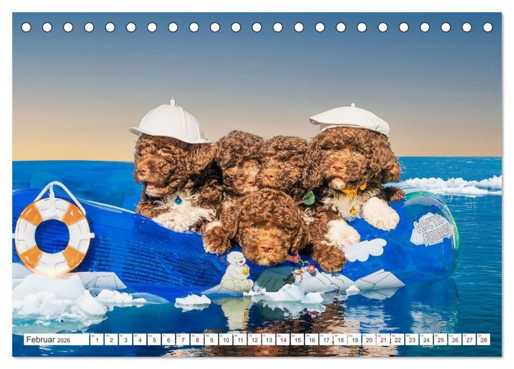 Produktbild: Lagotto Romagnolo Welpen - Sieben kleine Weltentdecker auf gro&szlig;er Fahrt (Tischkalender 2026 DIN A5 quer), CALVENDO Monatskalender