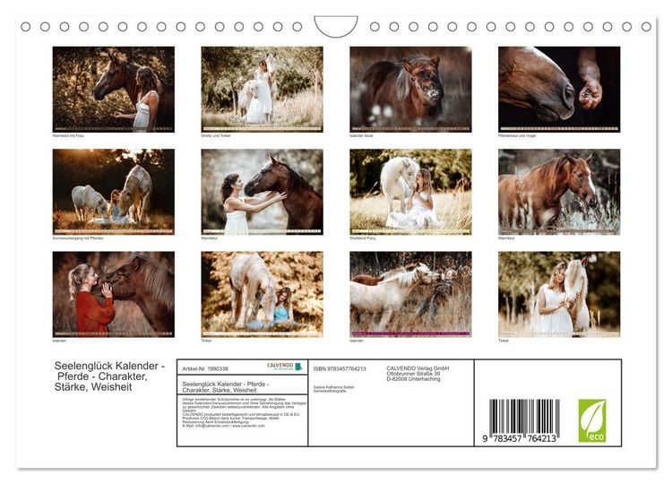 Produktbild: Seelengl&uuml;ck Kalender - Pferde - Charakter, St&auml;rke, Weisheit (Wandkalender 2026 DIN A4 quer), CALVENDO Monatskalender