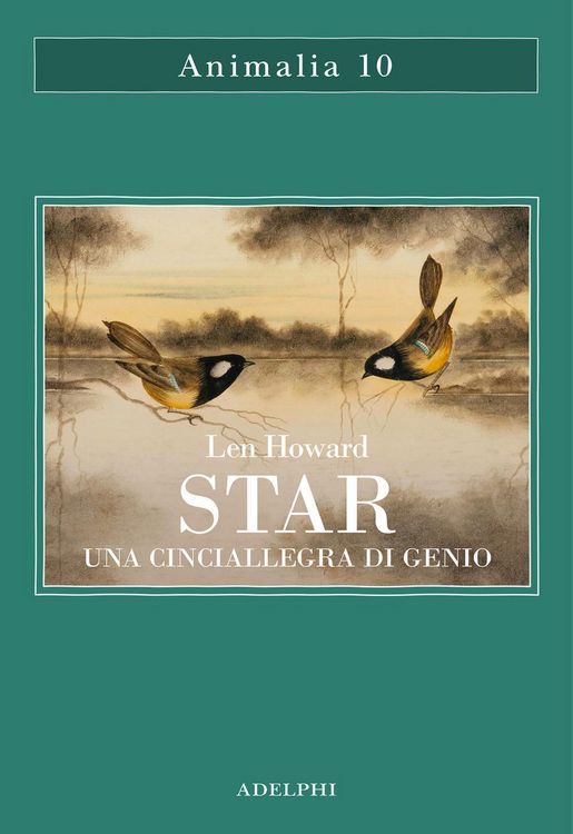 Produktbild: Star. Una cinciallegra di genio