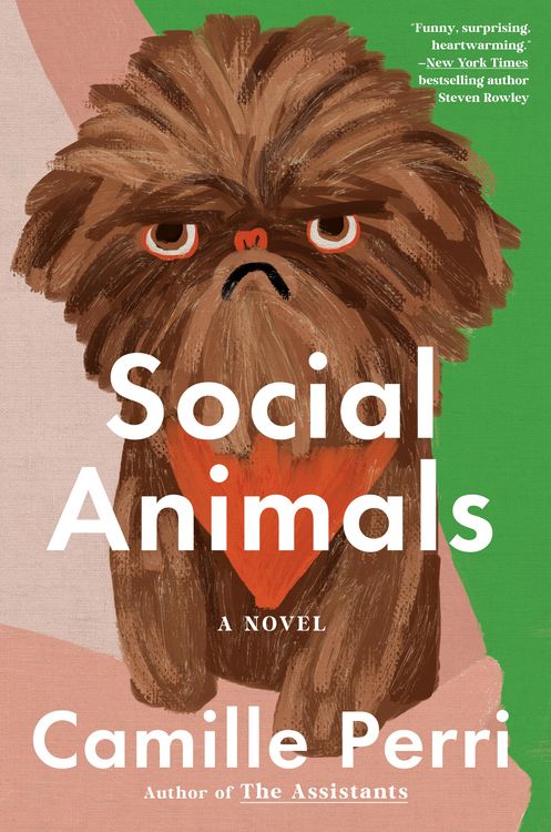 Produktbild: Social Animals