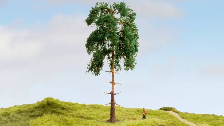 Produktbild: NOCH 20141 Baum Kiefer 180mm 1St.