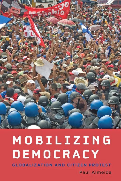 Produktbild: Mobilizing Democracy