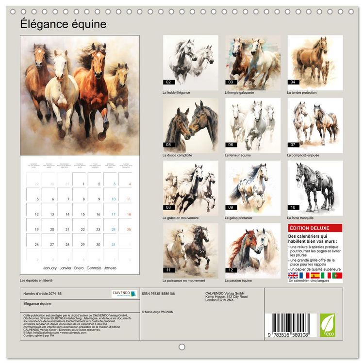 Produktbild: &Eacute;l&eacute;gance &eacute;quine (Calendrier mural carr&eacute; 2026 30x30 cm) Calendrier double avec une page pour vos prises de notes