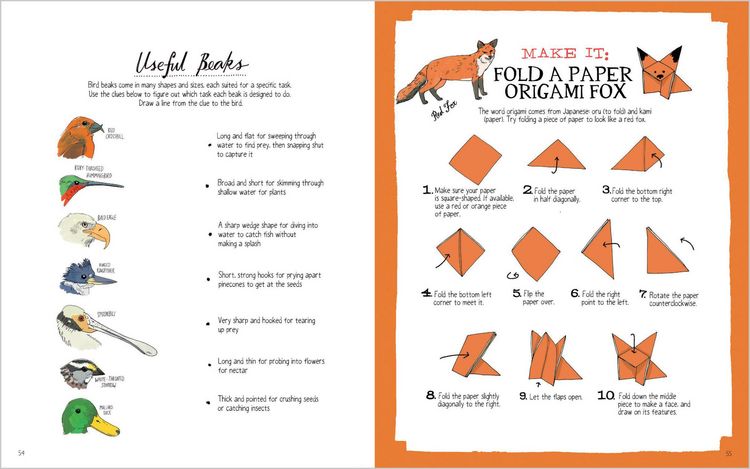 Produktbild: Julia Rothman's Nature Anatomy Activity Book