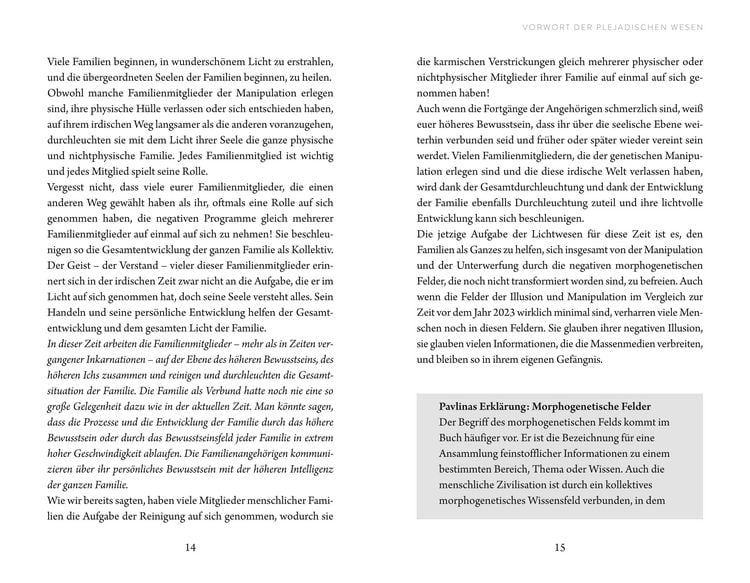 Produktbild: Plejadische Intelligenz