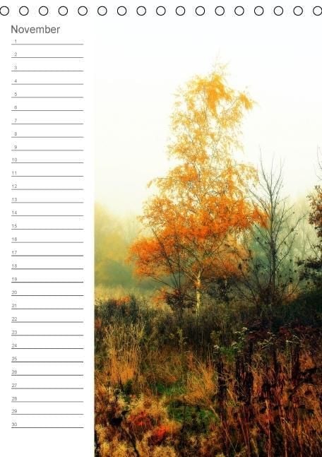 Produktbild: Malerisches Teufelsmoor (Tischkalender immerw&auml;hrend DIN A5 hoch)