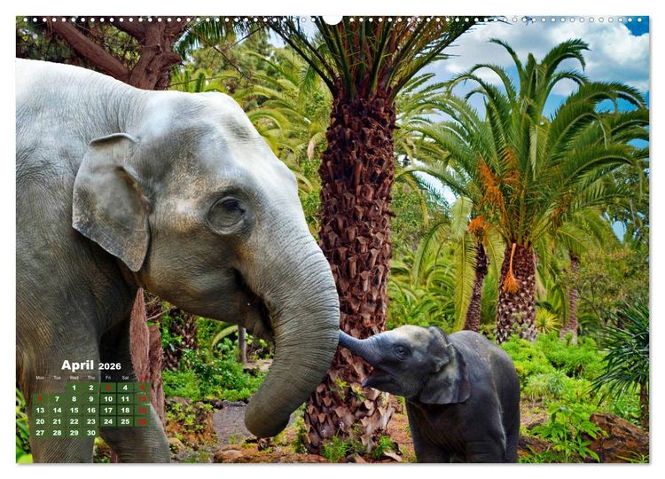 Produktbild: Gentle giants in the jungle (High Quality Premium Wall Calendar 2026 DIN A2 landscape),CALVENDO 12 Month Wall Calendar
