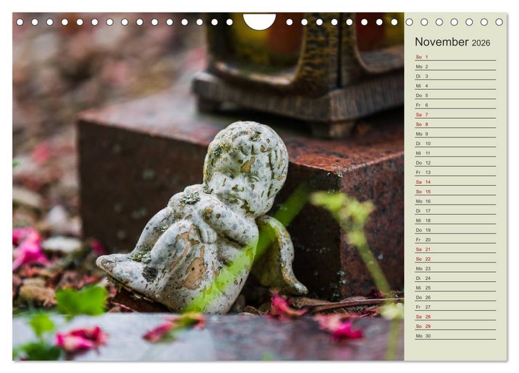 Produktbild: Engel - Begleiter f&uuml;r jeden Tag (Wandkalender 2026 DIN A4 quer), CALVENDO Monatskalender
