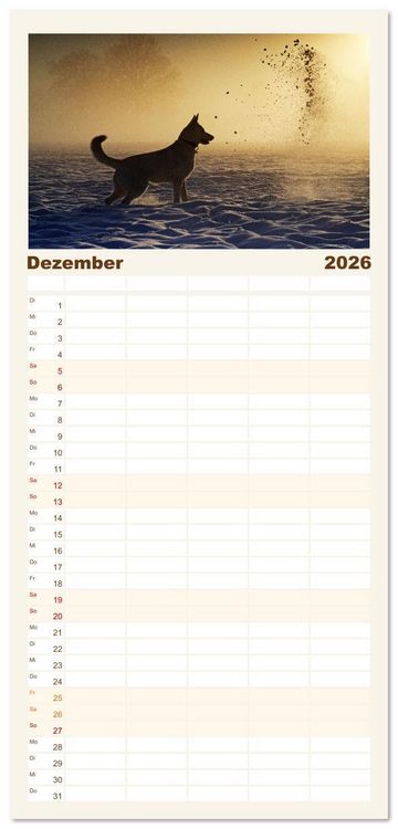 Produktbild: Familienplaner 2026 - Berger Blanc Suisse - Weggef&auml;hrten auf 4 Pfoten mit 5 Spalten (Wandkalender, 21 x 45 cm) CALVENDO