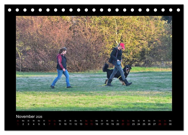 Produktbild: Der Hovawart... Dein Freund f&uuml;rs Leben ! (Tischkalender 2026 DIN A5 quer), CALVENDO Monatskalender