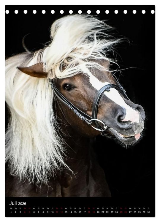 Produktbild: Schwarzw&auml;lder F&uuml;chse von Julia Hahn Photography (Tischkalender 2026 DIN A5 hoch), CALVENDO Monatskalender