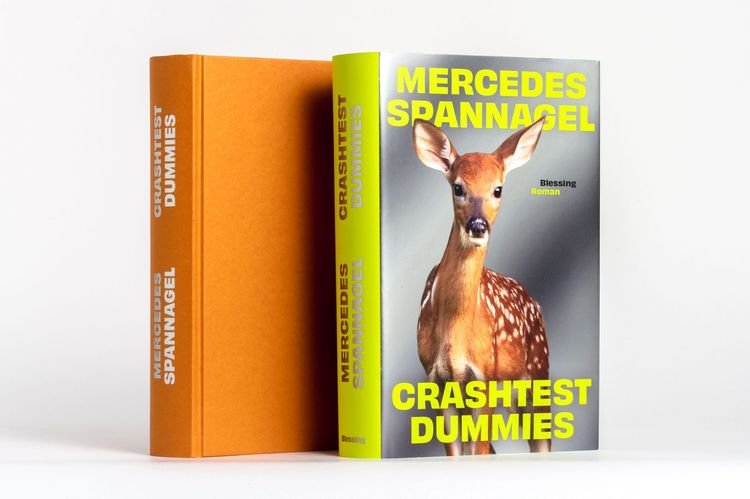 Produktbild: Crashtest Dummies