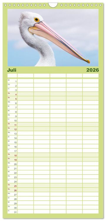 Produktbild: Familienplaner 2026 - Wildtierkalender mit 5 Spalten (Wandkalender, 21 x 45 cm) CALVENDO