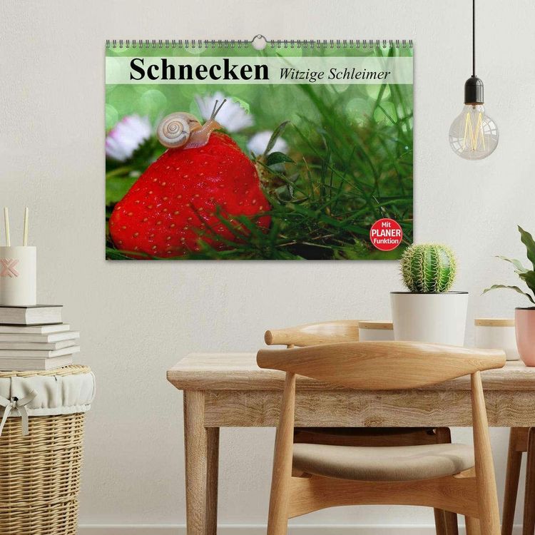 Produktbild: Schnecken. Witzige Schleimer (Wandkalender 2026 DIN A3 quer), CALVENDO Monatskalender