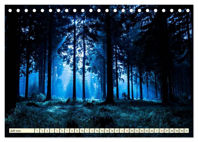 Produktbild: Mystische W&auml;lder - Zauber der Natur (Tischkalender 2026 DIN A5 quer), CALVENDO Monatskalender