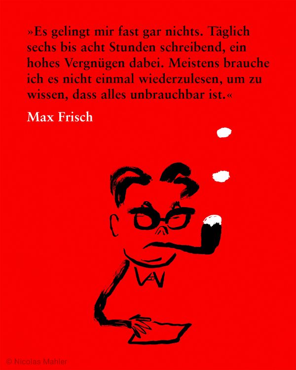 Produktbild: Ach die dumme Literatur!