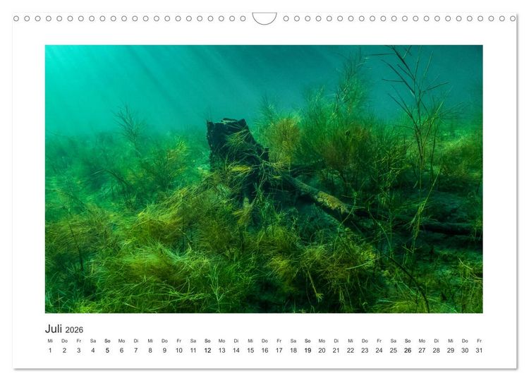 Produktbild: Unter Wasser in B&auml;chen und Fl&uuml;ssen (Wandkalender 2026 DIN A3 quer), CALVENDO Monatskalender