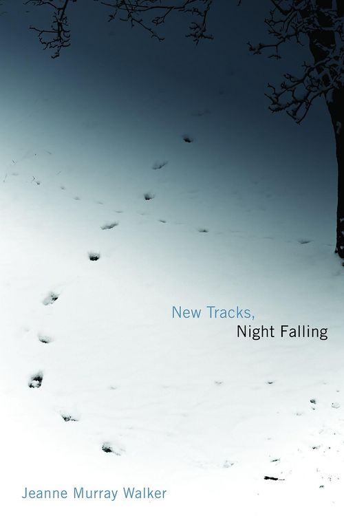 Produktbild: New Tracks, Night Falling