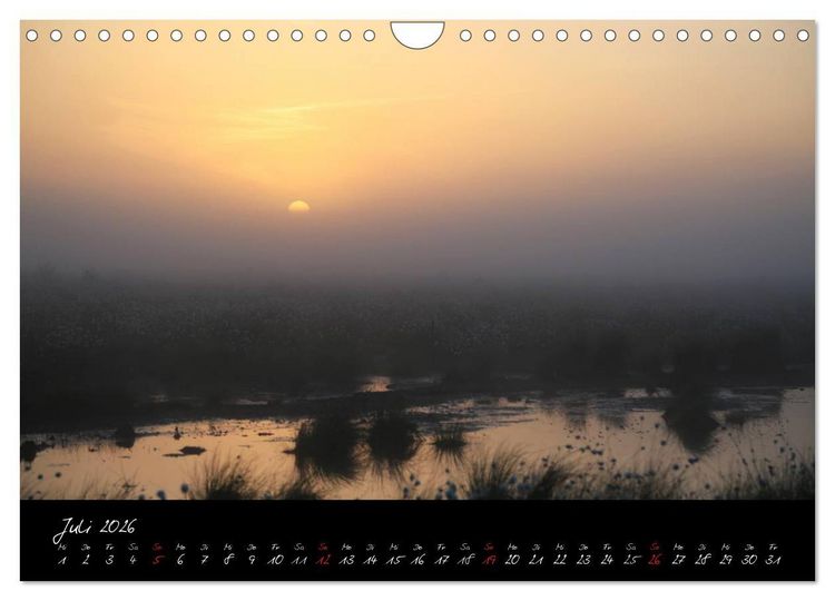 Produktbild: Im Goldenstedter Moor (Wandkalender 2026 DIN A4 quer), CALVENDO Monatskalender