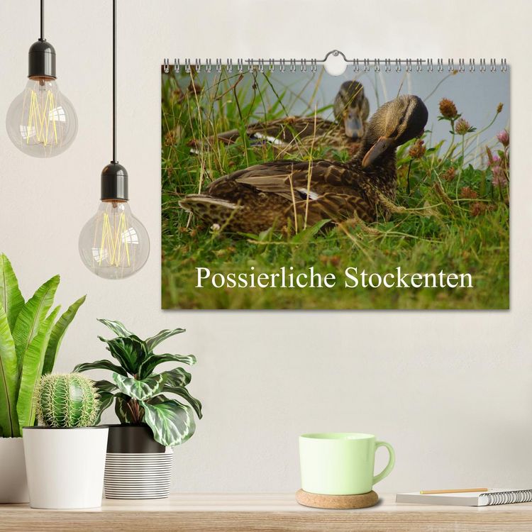 Produktbild: Possierliche Stockenten (Wandkalender 2026 DIN A4 quer), CALVENDO Monatskalender