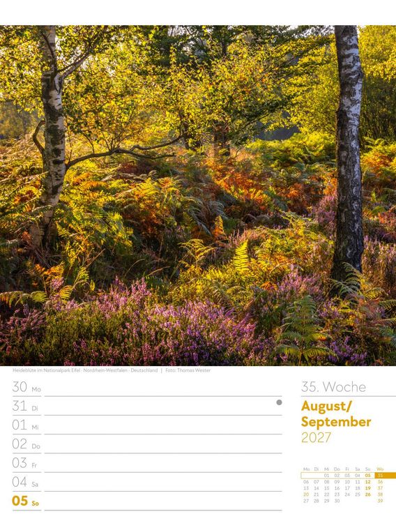 Produktbild: Unser Wald Wochenplaner Kalender 2027