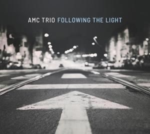 Produktbild: Following The Light