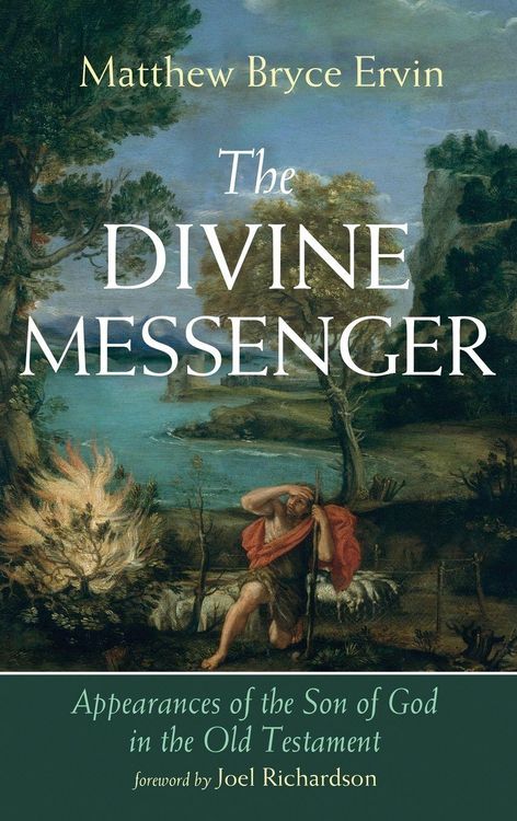 Produktbild: The Divine Messenger
