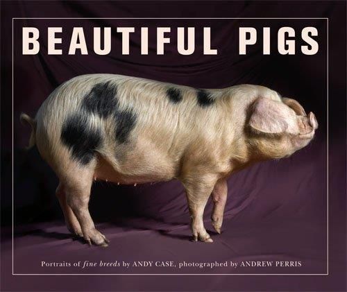 Produktbild: Case, A: Beautiful Pigs