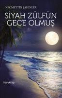 Produktbild: Siyah Z&uuml;lf&uuml;n Gece Olmus