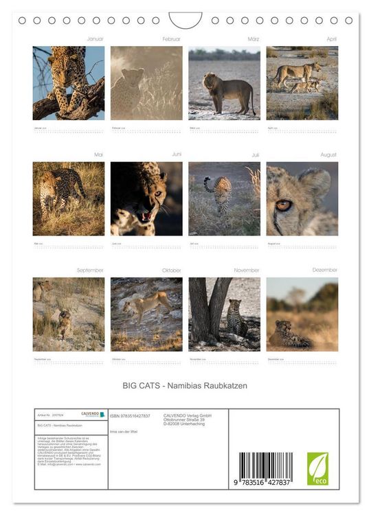 Produktbild: BIG CATS - Namibias Raubkatzen (Wandkalender 2026 DIN A4 hoch), CALVENDO Monatskalender