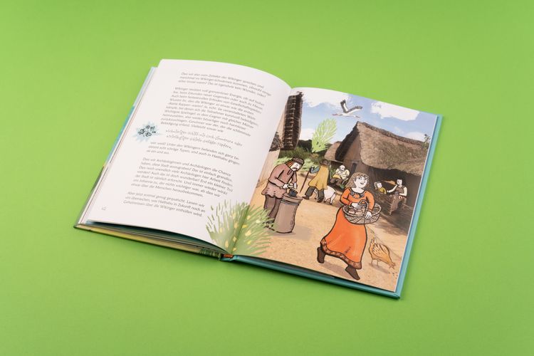 Produktbild: Wilde Wikinger in Sicht