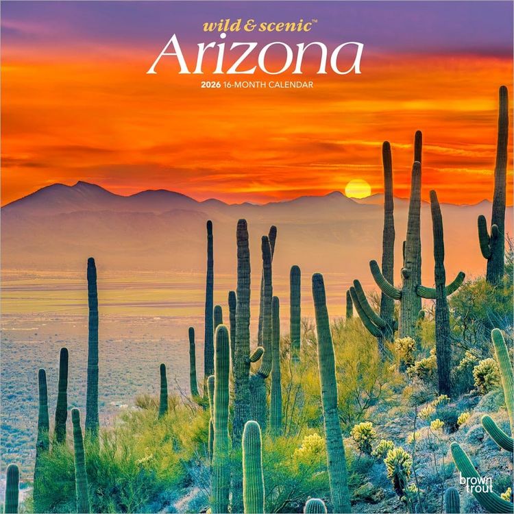 Produktbild: Arizona Wild & Scenic 2026 12 X 24 Inch (Hanging) Monthly Square Wall Calendar Plastic-Free