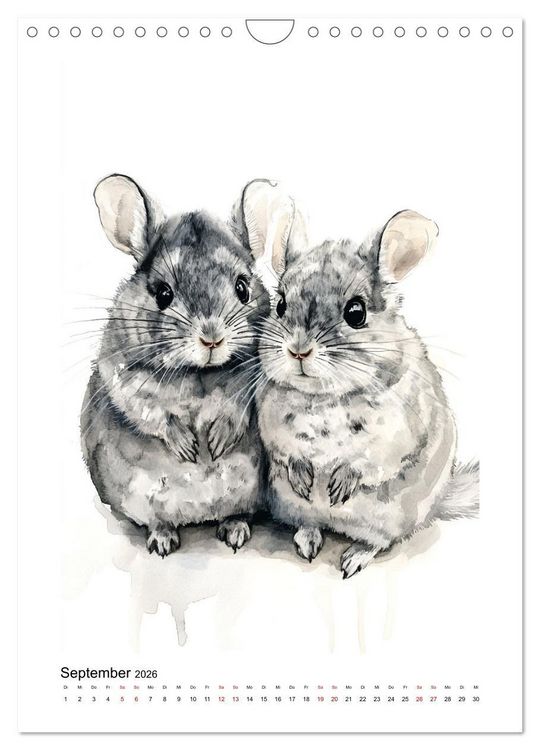 Produktbild: Knuddlige Chinchillas (Wandkalender 2026 DIN A4 hoch), CALVENDO Monatskalender