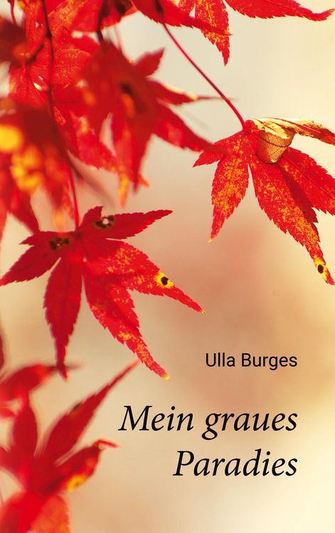 Produktbild: Mein graues Paradies